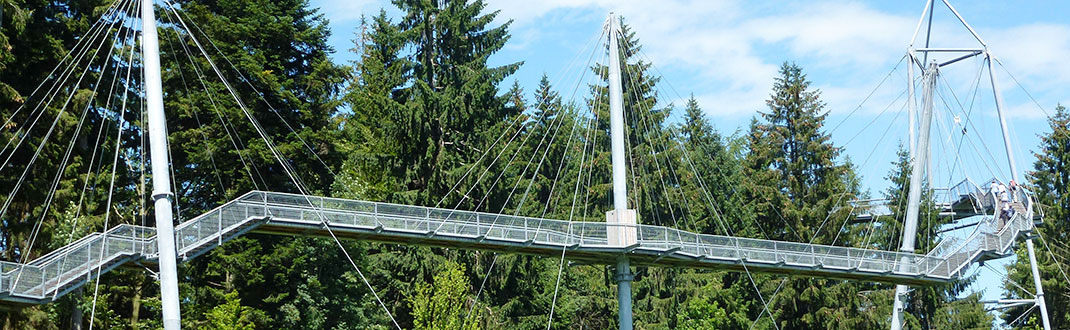 Baumwipfelpfad-Aufstieg mit verschiedenen Treppen von einer Wiese aus gesehen vor Waldrand
